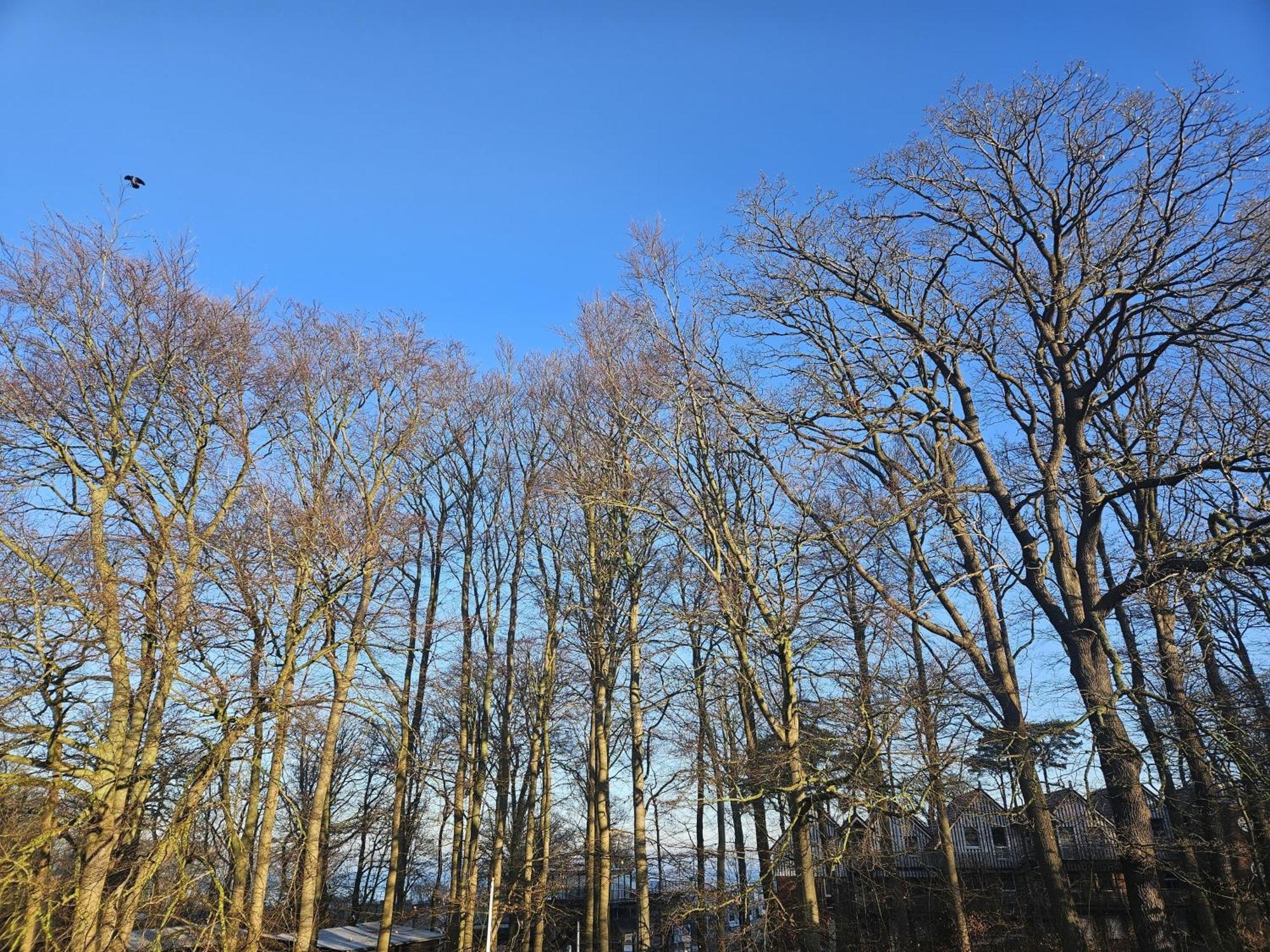 Duenenmeisterei Whg "Zitrone" Koserow Buitenkant foto